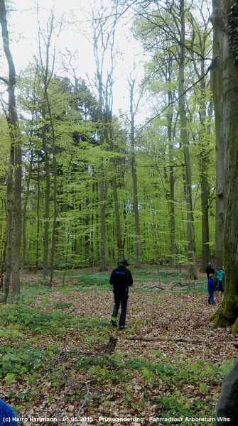 15-05-01_Fahrradtour Arboretum Whs (24).jpg